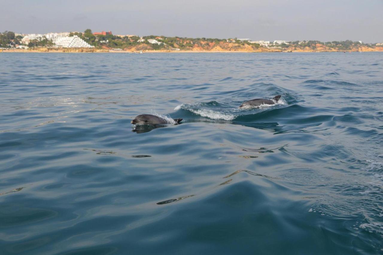 Apartamentos Carruna Albufeira Dış mekan fotoğraf